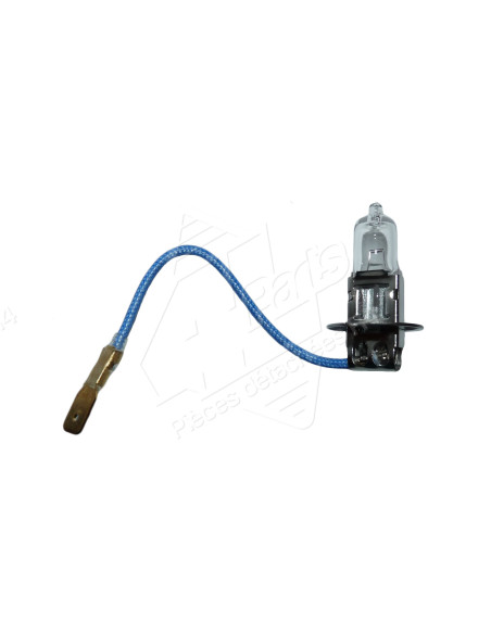 AMPOULE HALOGENE H3 6V 55W